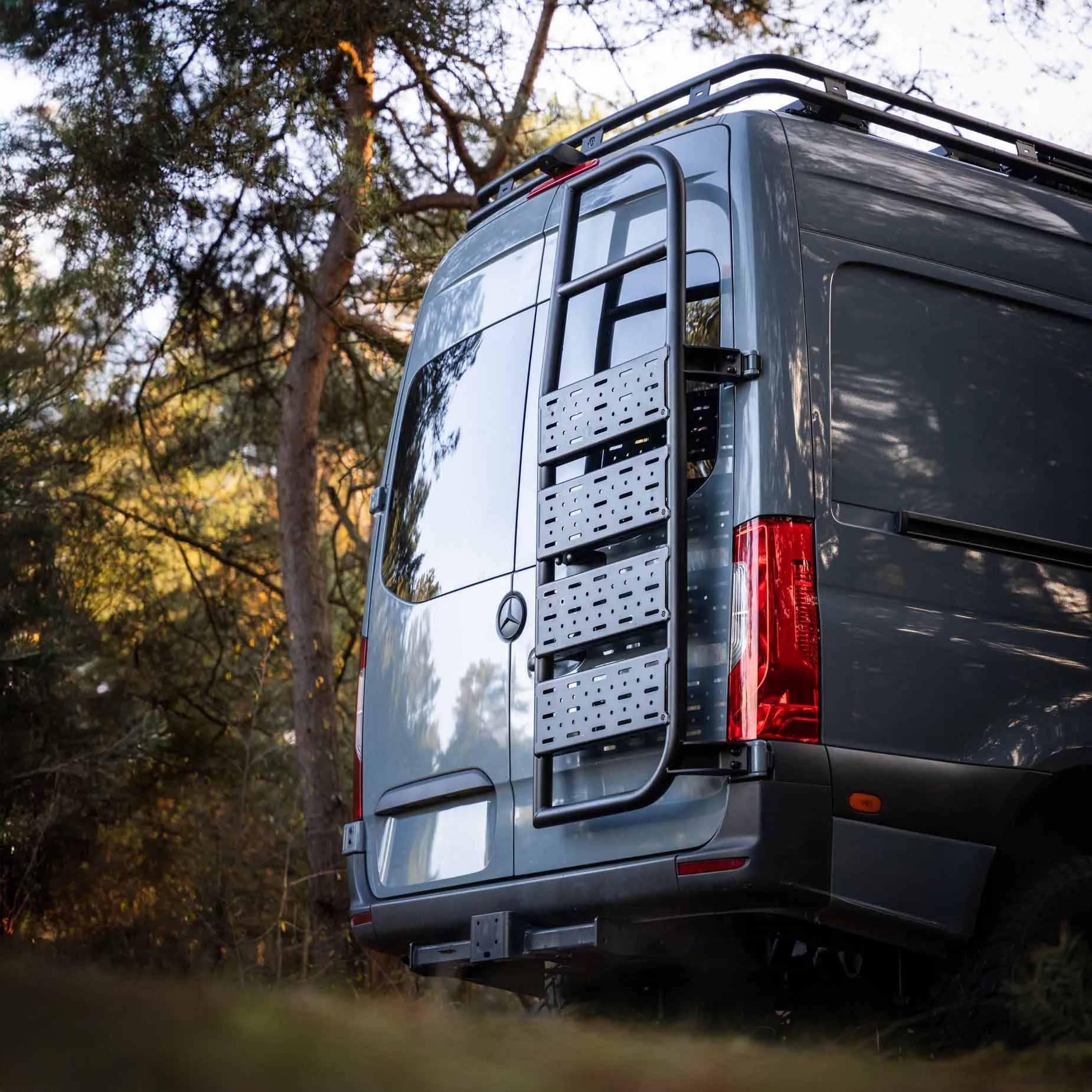 Cargo Ladder H2 Sprinter - angle 2