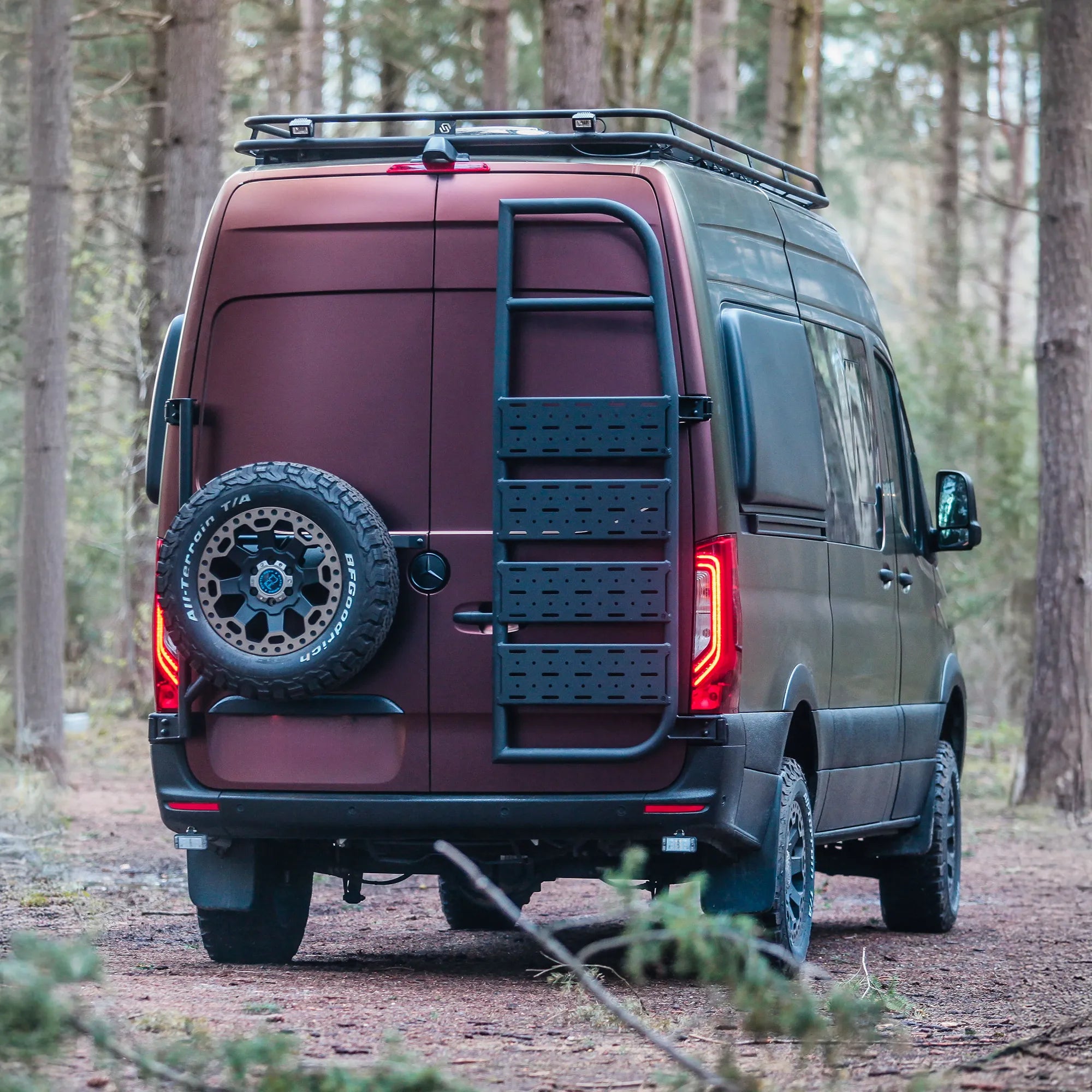 Cargo Ladder H2 Sprinter - angle 8