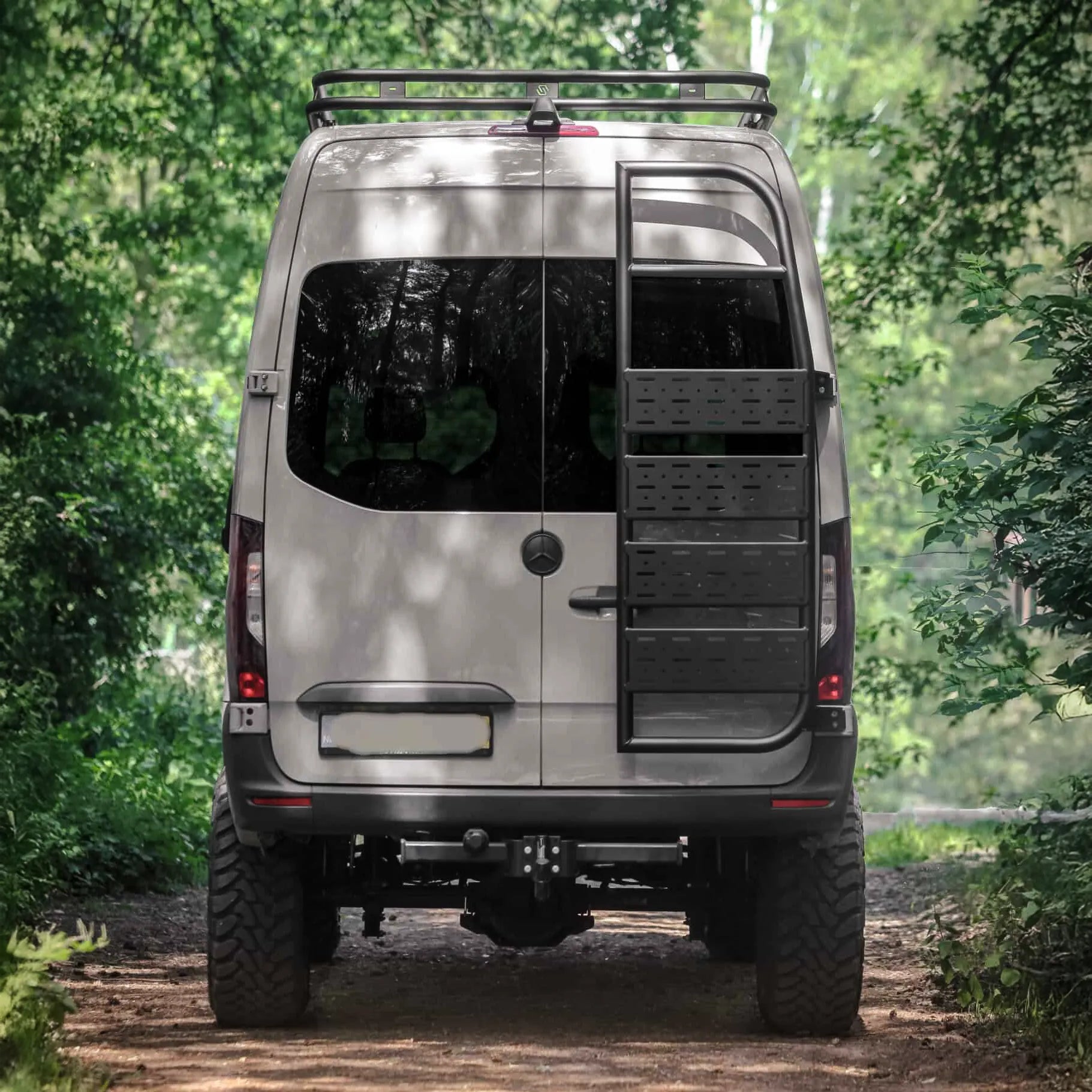 Cargo Ladder H2 Sprinter - angle 7