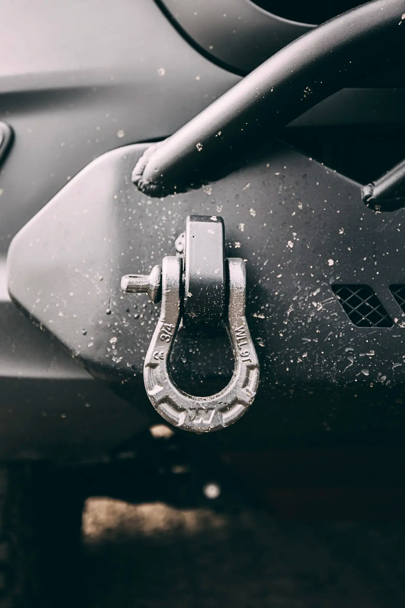 Warn Epic D-Ring Shackle - 3/4 in, 8165 kg - image 4
